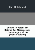 Goethe in Polen: Ein Beitrag Zur Allgemeinen Litteraturgeschichte (French Edition)