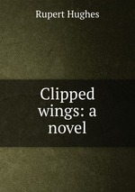 Clipped wings: a novel