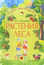 Растения леса