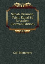 Siloah, Brunnen, Teich, Kanal Zu Jerusalem (German Edition)