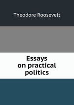 Essays on practical politics