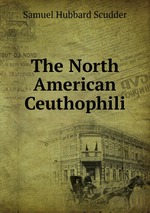 The North American Ceuthophili