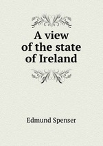 A view of the state of Ireland