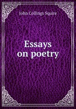 Essays on poetry