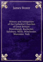 History and Antiquities of the Cathedral Churches of Great Britain: Petersburgh. Rochester. Salisbury. Wells. Winchester. Worcester. York