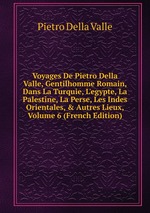 Voyages De Pietro Della Valle, Gentilhomme Romain, Dans La Turquie, L`egypte, La Palestine, La Perse, Les Indes Orientales, & Autres Lieux, Volume 6 (French Edition)