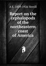 Report on the cephalopods of the northeastern coast of America