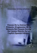 Fracaso De La Instruccin Primaria: (Fragmentos De La Memoria Del Consejo Escolar Del Quinto Distrito De La Capital (Spanish Edition)