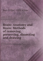 Brain: Anatomy and Brain: Methods of removing, preserving, dissecting and drawing