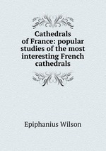 Cathedrals of France: popular studies of the most interesting French cathedrals