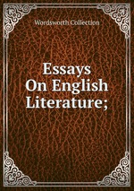 Essays On English Literature;
