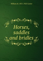 Horses, saddles and bridles