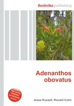 Adenanthos obovatus