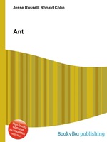 Ant