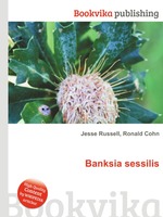 Banksia sessilis