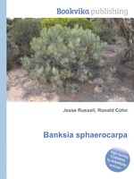 Banksia sphaerocarpa