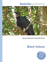 Black Vulture