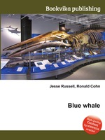 Blue whale