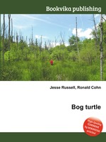 Bog turtle