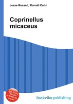 Coprinellus micaceus