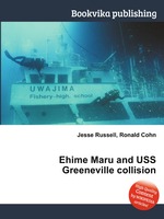 Ehime Maru and USS Greeneville collision