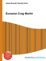 Eurasian Crag Martin