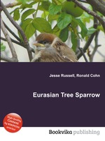 Eurasian Tree Sparrow