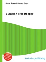 Eurasian Treecreeper