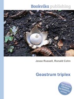 Geastrum triplex