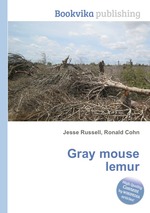 Gray mouse lemur