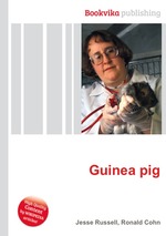 Guinea pig