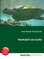 Hawksbill sea turtle