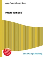 Hippocampus