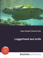 Loggerhead sea turtle