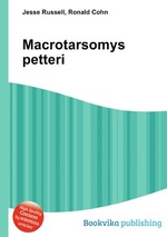 Macrotarsomys petteri