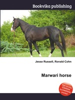 Marwari horse