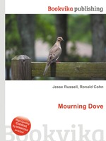 Mourning Dove