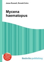 Mycena haematopus