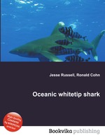 Oceanic whitetip shark