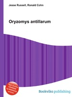 Oryzomys antillarum