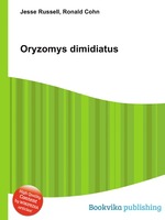 Oryzomys dimidiatus