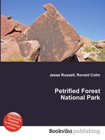 Petrified Forest National Park