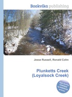 Plunketts Creek (Loyalsock Creek)