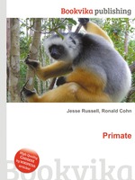 Primate