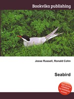 Seabird