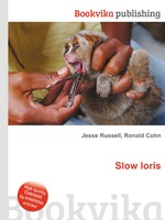 Slow loris