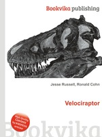 Velociraptor