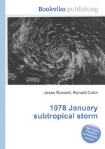 1978 January subtropical storm