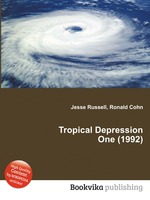 Tropical Depression One (1992)