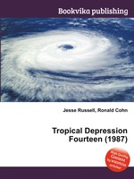 Tropical Depression Fourteen (1987)